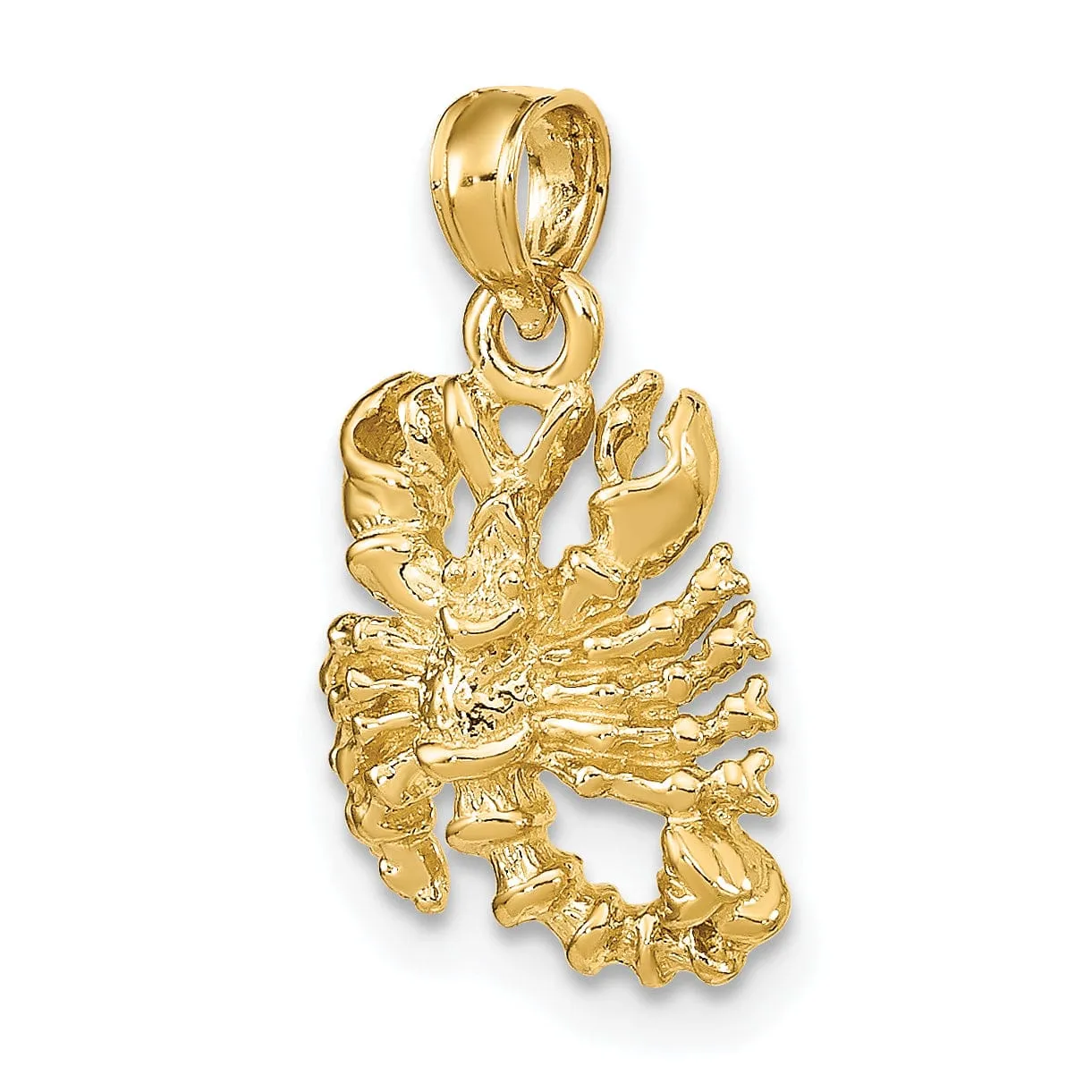 14k Yellow Gold Polished Texture Finish3-D Scorpio Zodiac Charm Pendant