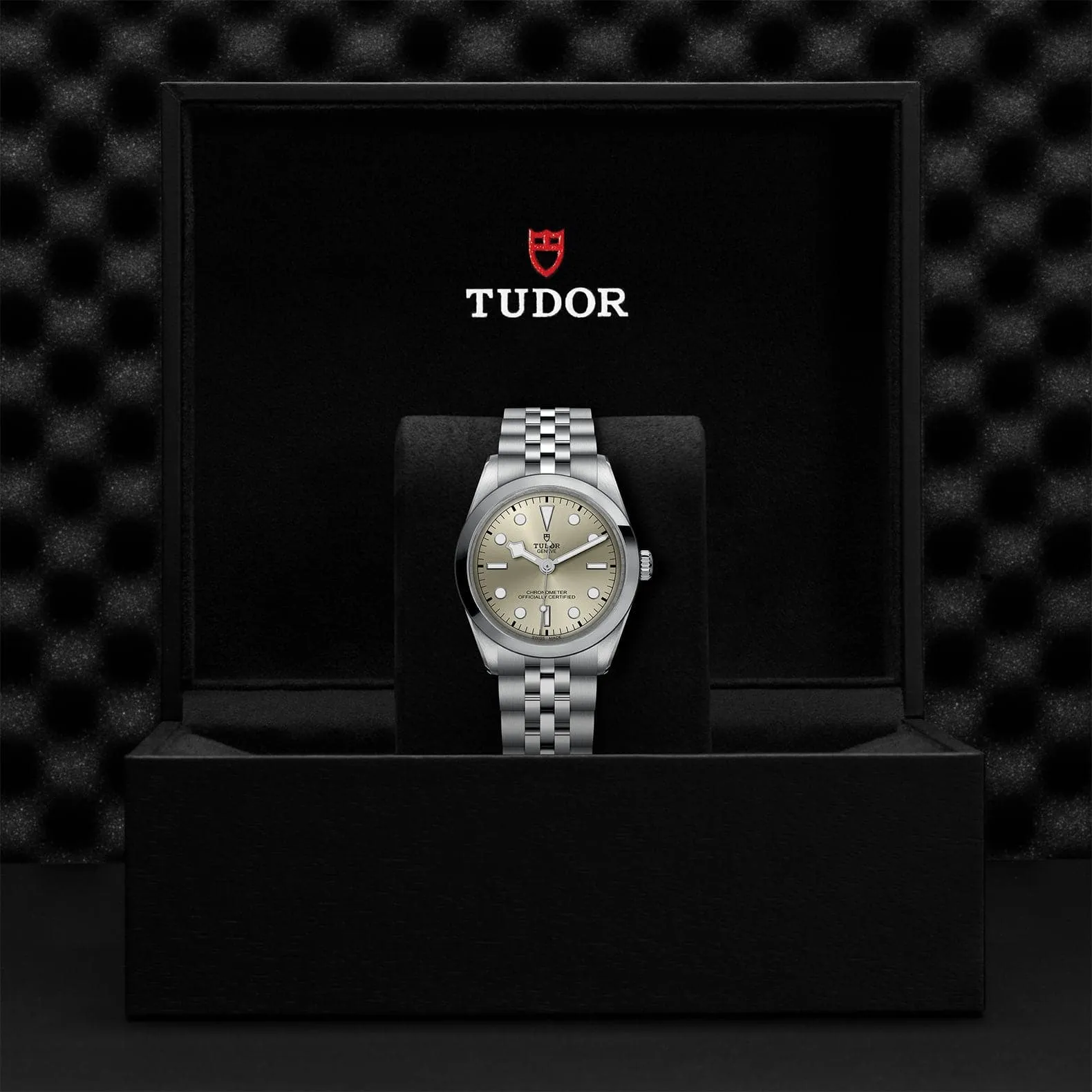 TUDOR Black Bay 36mm Steel Case, Light Champagne Dial, Steel Strap (M79640-0003)